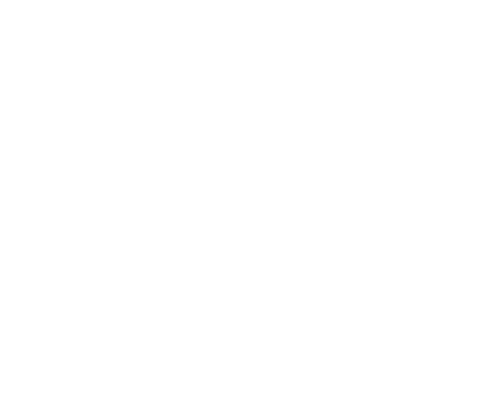 Academy of Aviation